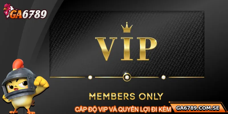 Vip Ga6789 – Đặc Quyền Dành Riêng Cho Người Chơi Đẳng Cấp 2 Cấp độ VIP và quyền lợi đi kèm